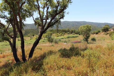 Terreno Misto  com Ruína para Reconstrução em Monchique