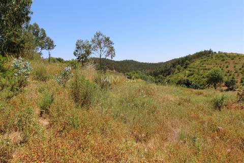Terreno Misto  com Ruína para Reconstrução em Monchique