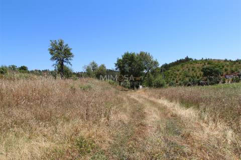 Terreno Misto  com Ruína para Reconstrução em Monchique