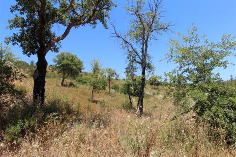 Terreno Misto  com Ruína para Reconstrução em Monchique