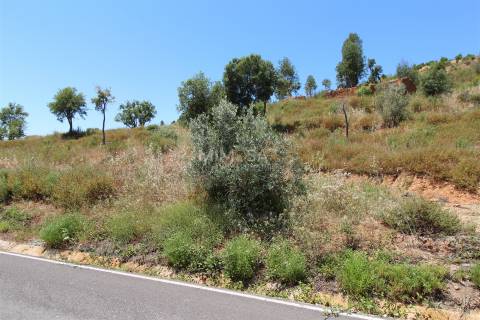 Terreno Misto  com Ruína para Reconstrução em Monchique