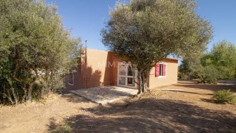 Quinta Típica Restaurada em Lagos – 2 Ha com Potencial Turístico