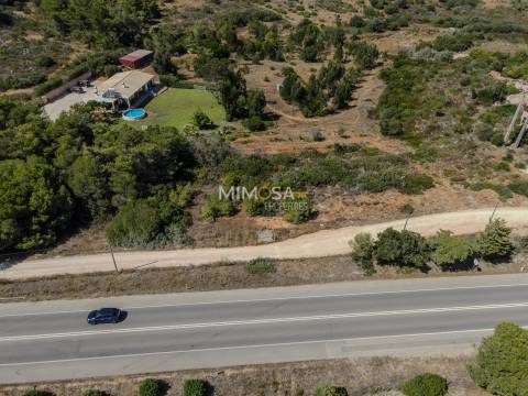 Terreno Rústico  Venda em Barão de São Miguel,Vila do Bispo