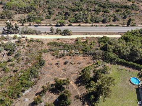 Terreno Rústico  Venda em Barão de São Miguel,Vila do Bispo