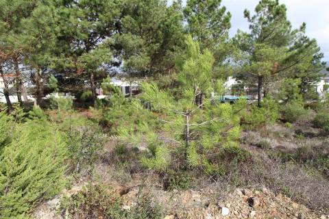 Terreno Urbano no Espartal e a poucos minutos da Praia