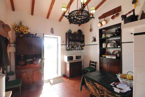 Casa de Campo T3 com Terreno de 4570 m² em Lagos