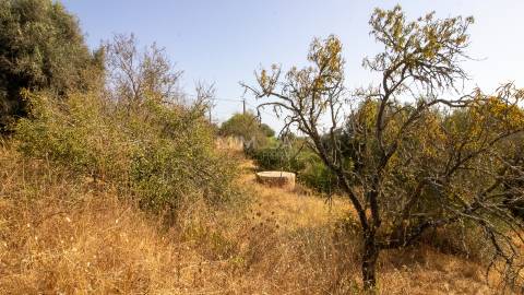 Quinta com 6 hectares e Vista Panorâmica – Lagos, Algarve