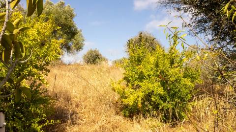 Quinta com 6 hectares e Vista Panorâmica – Lagos, Algarve