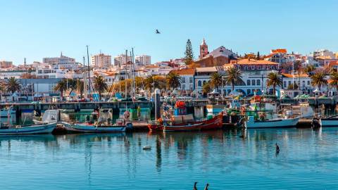 Terreno com Projeto de Luxo em Porto de Mós, Lagos
