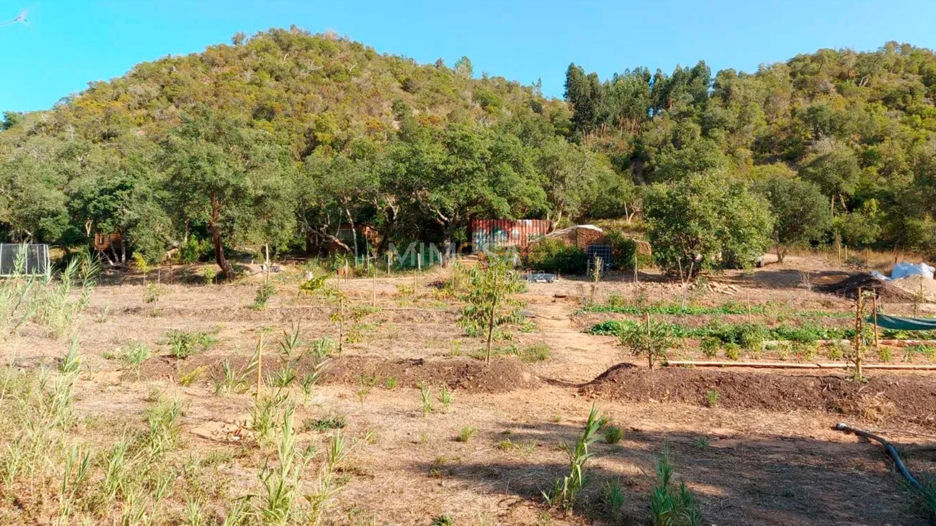 Herdade com 7,1 hectares com Potencial Turístico em Aljezur