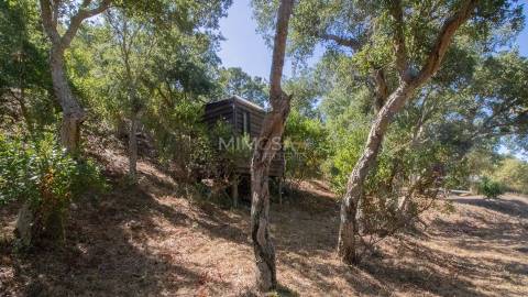 Herdade com 7,1 hectares com Potencial Turístico em Aljezur