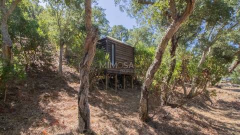 Herdade com 7,1 hectares com Potencial Turístico em Aljezur