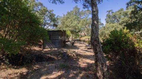 Herdade com 7,1 hectares com Potencial Turístico em Aljezur