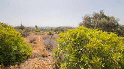 Terreno de 2ha com Ruina junto à Praia da Luz, Lagos