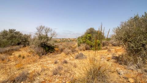 Terreno de 2ha com Ruina junto à Praia da Luz, Lagos