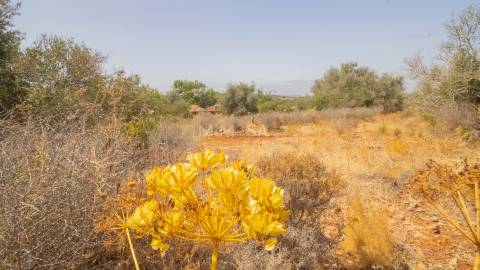 Terreno de 2ha com Ruina junto à Praia da Luz, Lagos