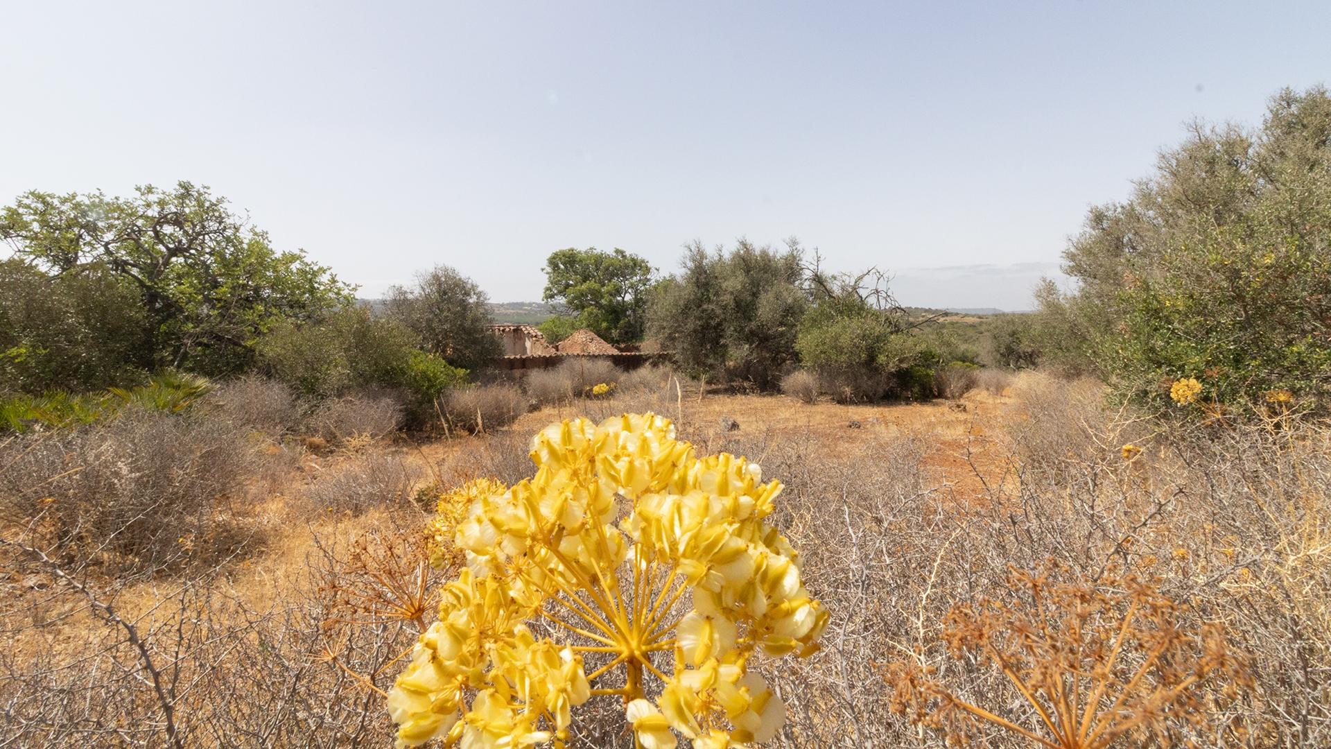Terreno de 2ha com Ruina junto à Praia da Luz, Lagos