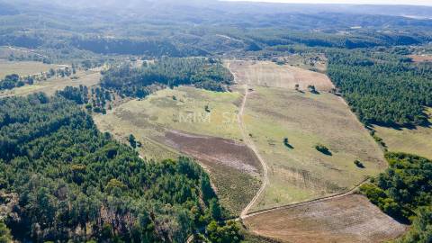 Herdade com 37 Hectares na Costa Vicentina, Aljezur