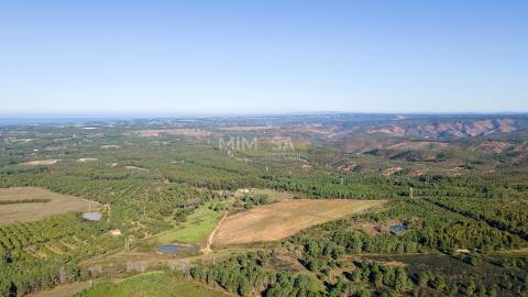 Herdade com 37 Hectares na Costa Vicentina, Aljezur