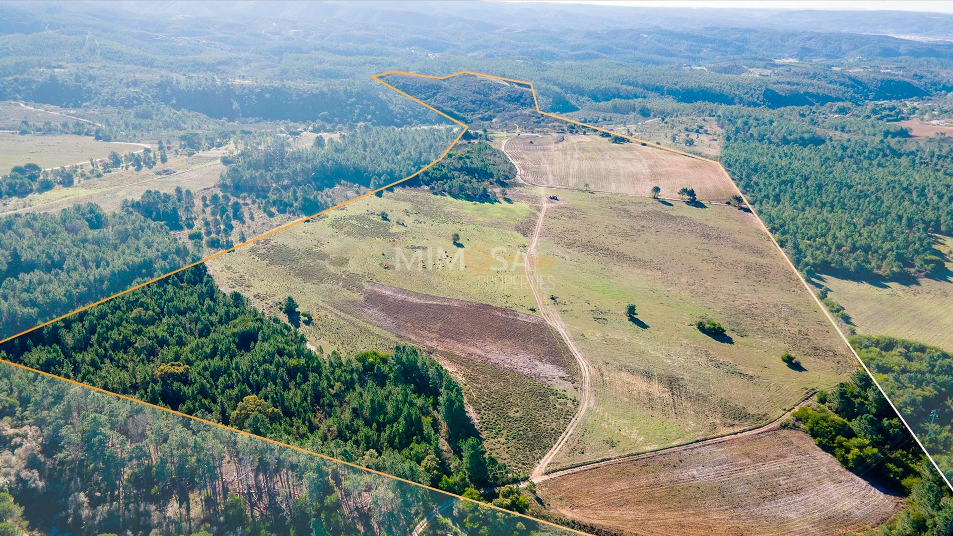 Herdade com 37 Hectares na Costa Vicentina, Aljezur