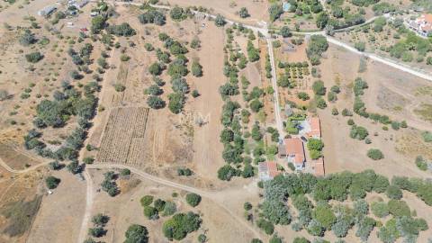 Terreno com Ruína para Recuperar em Barão de São Miguel