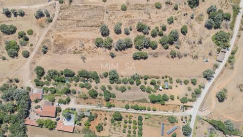 Terreno com Ruína para Recuperar em Barão de São Miguel
