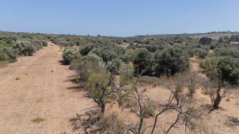 Terreno com Ruína para Recuperar em Barão de São Miguel