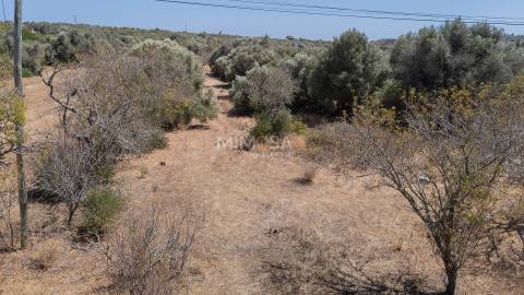 Terreno com Ruína para Recuperar em Barão de São Miguel