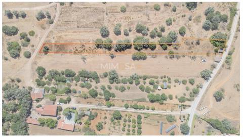 Terreno com Ruína para Recuperar em Barão de São Miguel