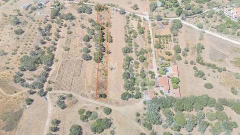 Terreno com Ruína para Recuperar em Barão de São Miguel