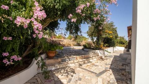 Moradia T3+1 num terreno com 2.420 m² junto a Silves