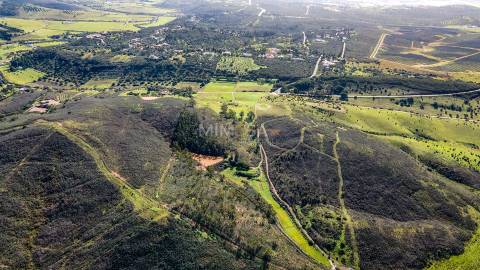 Quinta com Moradia e Terrenos de 12ha – Colinas Verdes, Lagos