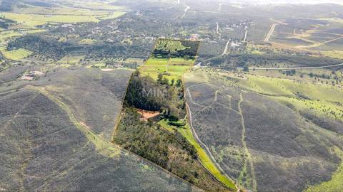 Quinta com Moradia e Terrenos de 12ha – Colinas Verdes, Lagos