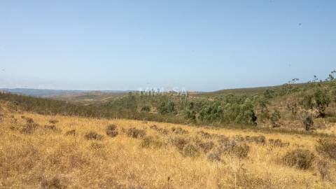 Quinta com Moradia e Terrenos de 12ha – Colinas Verdes, Lagos