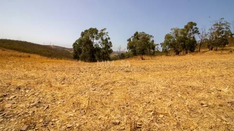 Quinta com Moradia e Terrenos de 12ha – Colinas Verdes, Lagos