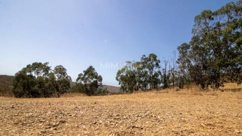 Quinta com Moradia e Terrenos de 12ha – Colinas Verdes, Lagos