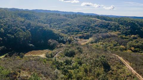 Herdade com 37 Hectares na Costa Vicentina, Aljezur