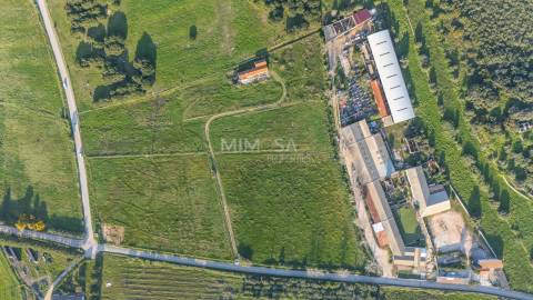 Quinta Algarvia com Elevado Potencial – Lagos (5 min do Centro)