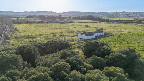 Quinta Algarvia com Elevado Potencial – Lagos (5 min do Centro)
