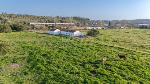 Quinta Algarvia com Elevado Potencial – Lagos (5 min do Centro)