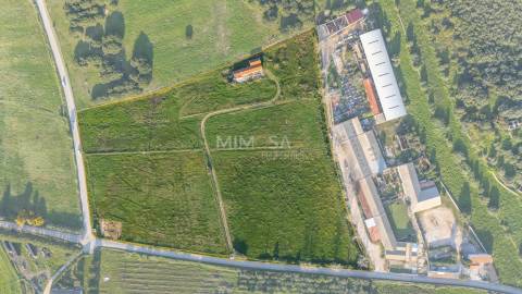 Quinta Algarvia com Elevado Potencial – Lagos (5 min do Centro)