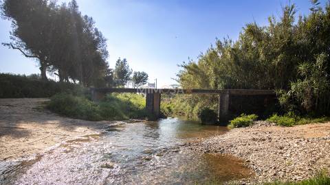 Refúgio Rural com 1 Hectare a 10 Minutos de Lagos