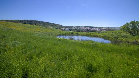 Refúgio Rural com 1 Hectare a 10 Minutos de Lagos
