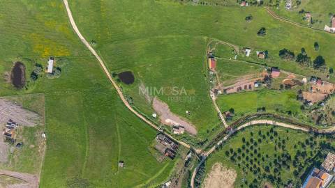 Refúgio Rural com 1 Hectare a 10 Minutos de Lagos