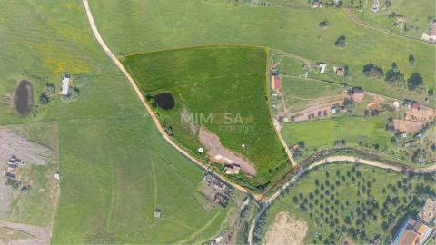 Refúgio Rural com 1 Hectare a 10 Minutos de Lagos