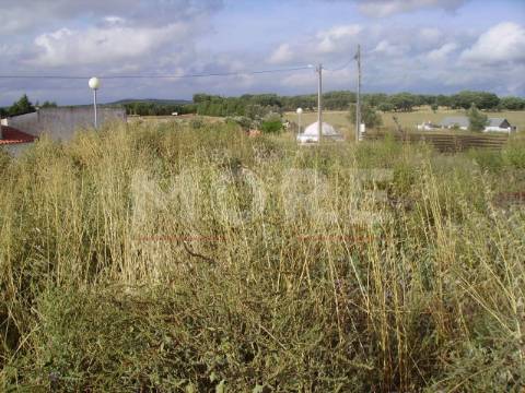 Lote terreno - Arraiolos