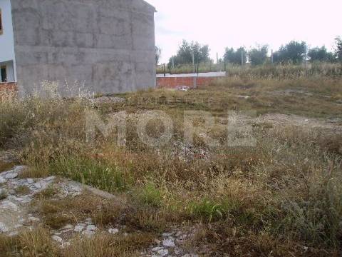 Lote terreno - Arraiolos