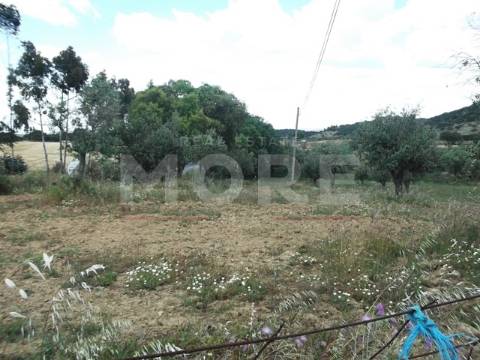 Terreno - Évora/Redondo