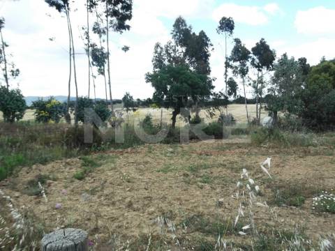 Terreno - Évora/Redondo