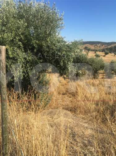 Terreno Rústico - Alqueva - Portel